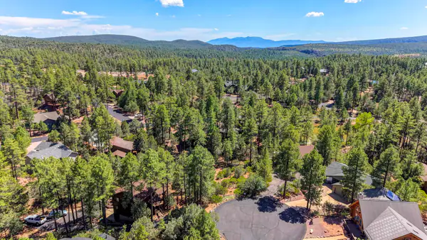 Lot 19 N Elk Rub Lane, Pine, AZ 85544