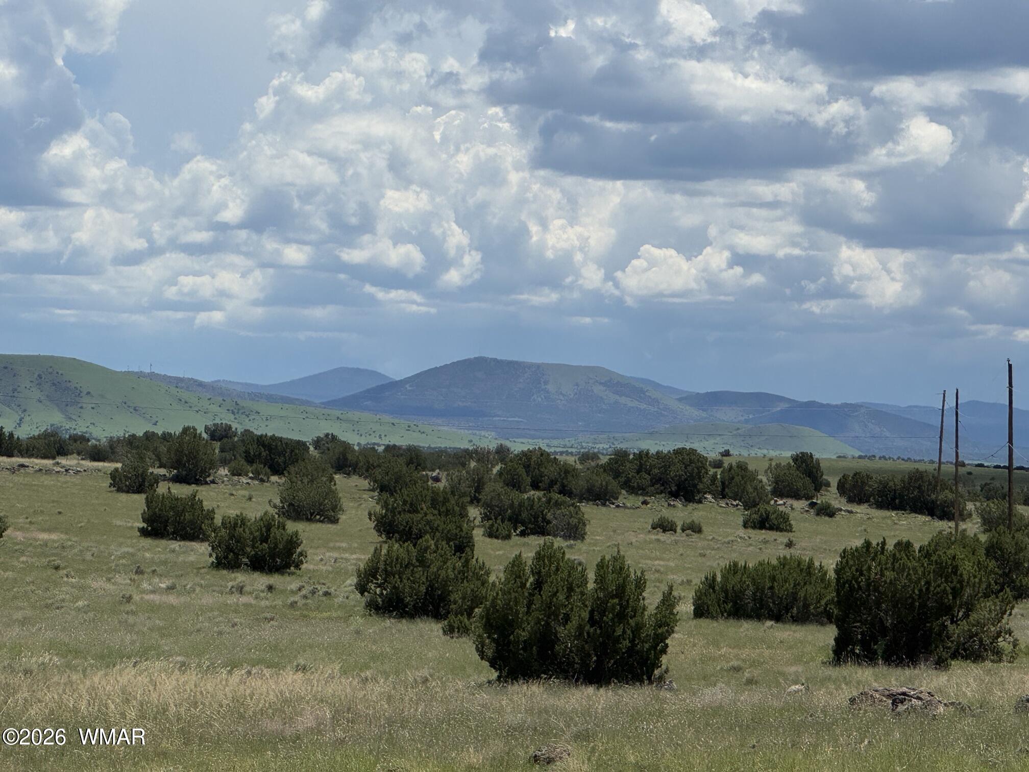 TBD Eucalyptus Lane, Concho Valley, AZ 85924 — Photo 1 of 7