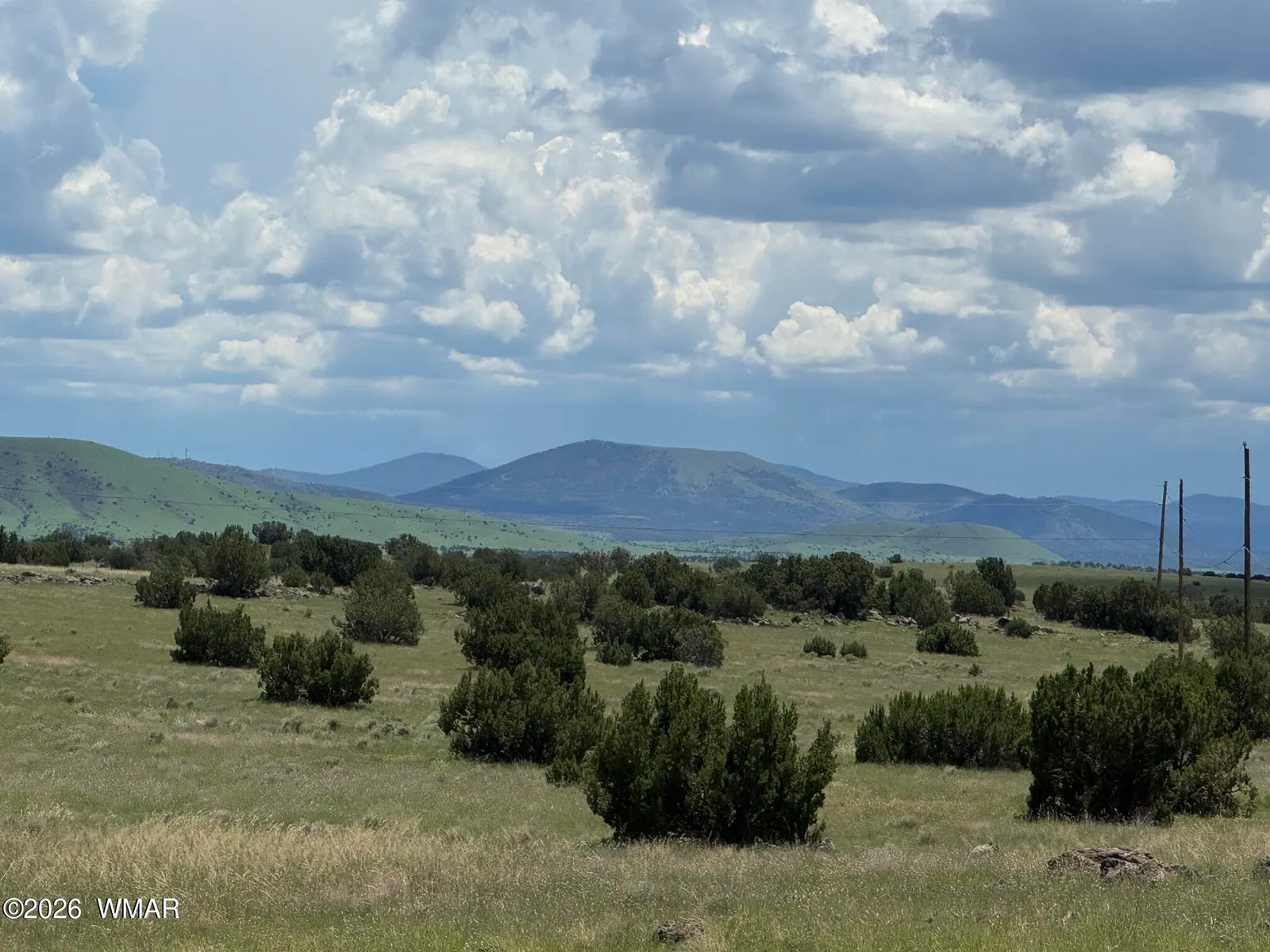 TBD Eucalyptus Lane, Concho Valley, AZ 85924 — Photo 1 of 7