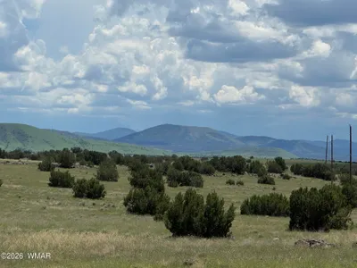 TBD Eucalyptus Lane, Concho Valley, AZ 85924
