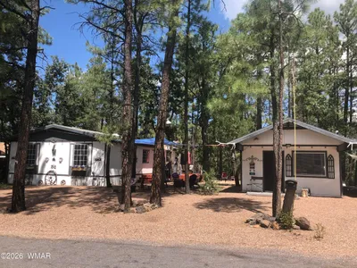 454 W Cooley Lane, Lakeside, AZ 85929