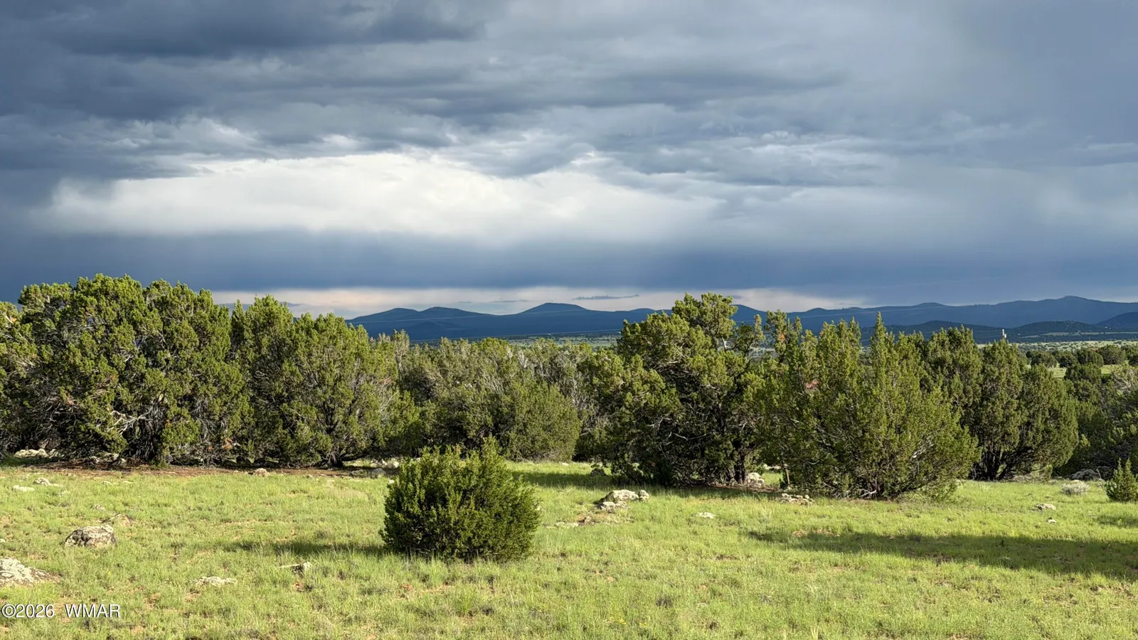 78 8006, Concho, AZ 85924 — Photo 1 of 15