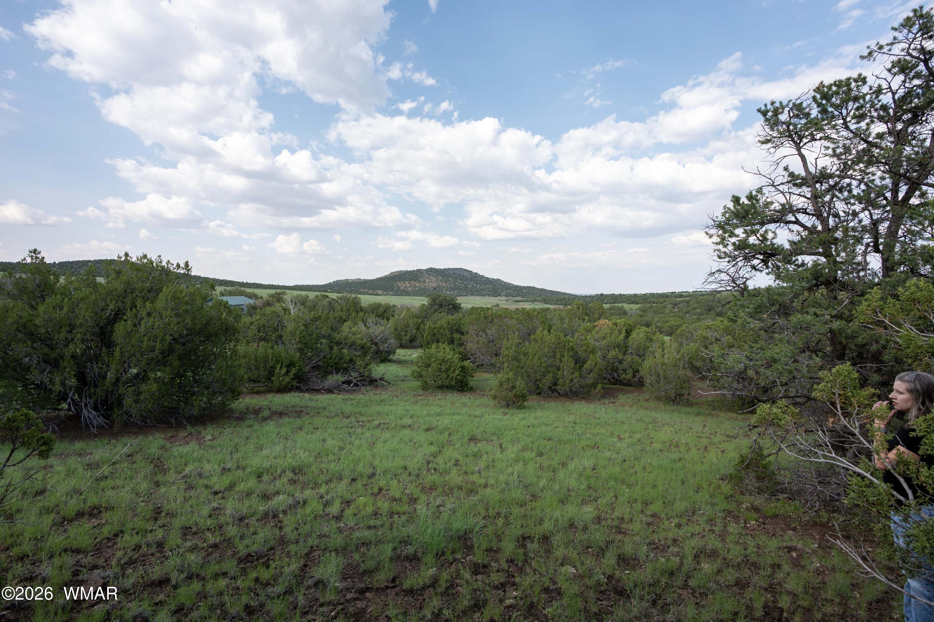 6 County Road 3195, Vernon, AZ 85940 — Photo 1 of 3