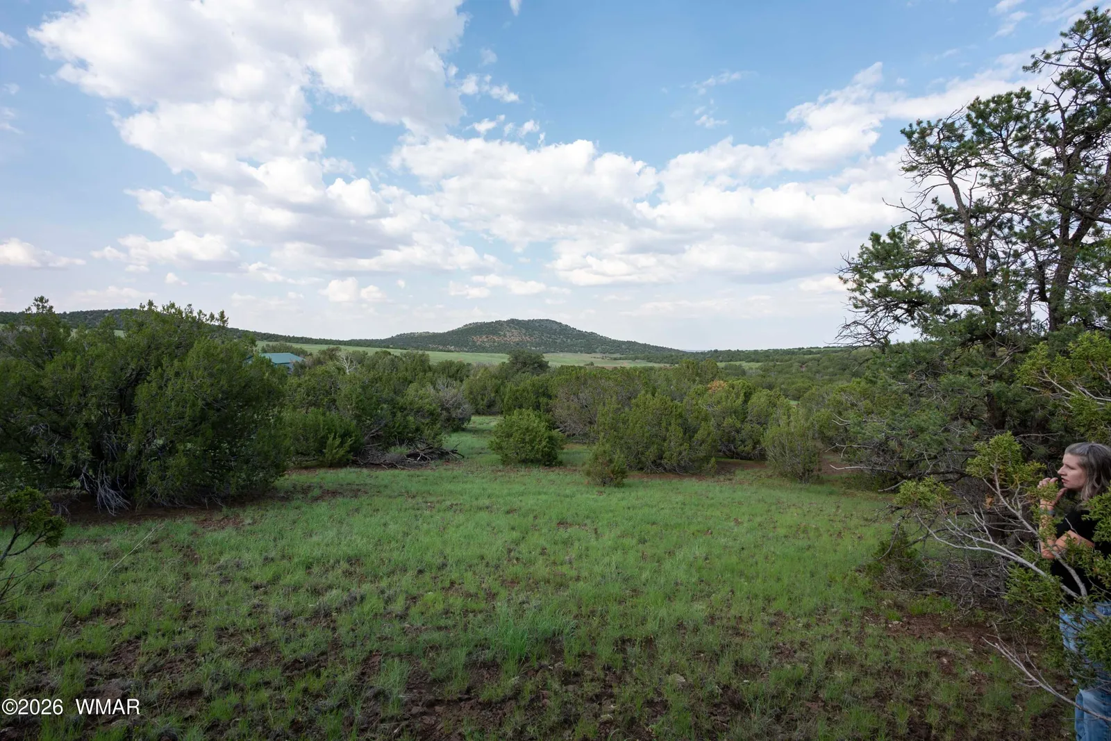 6 County Road 3195, Vernon, AZ 85940 — Photo 1 of 3