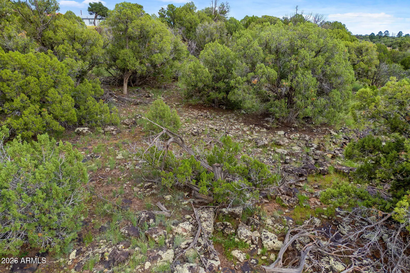 8281 &8283 RIDGE Drive 11, Show Low, AZ 85901 — Photo 1 of 17