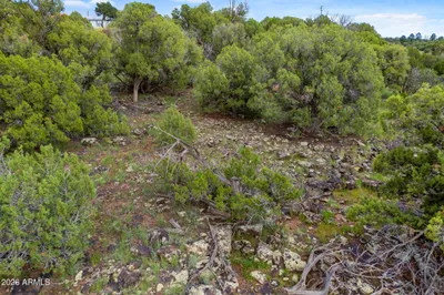 8281 &8283 RIDGE Drive 11, Show Low, AZ 85901