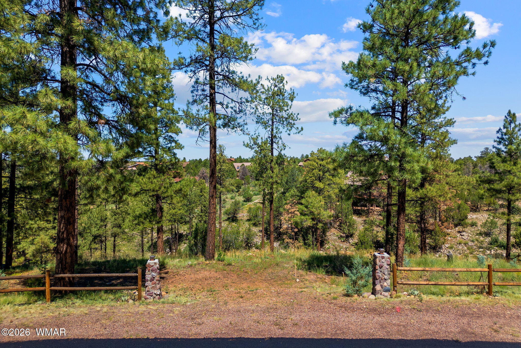 2294 Constellation Lane, Overgaard, AZ 85933 — Photo 1 of 19