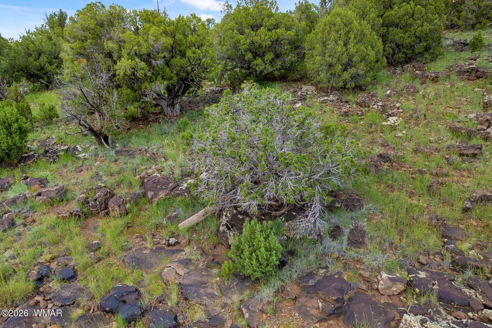 8281 &8283 RIDGE Drive 11, Show Low, AZ 85901 — Photo 1 of 34