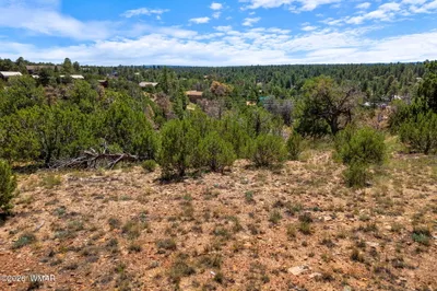 3620 ZANE GREY Trail 42, Overgaard, AZ 85933