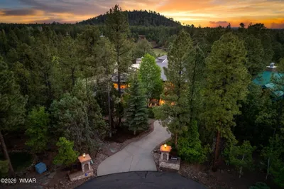 Thumbnail 48