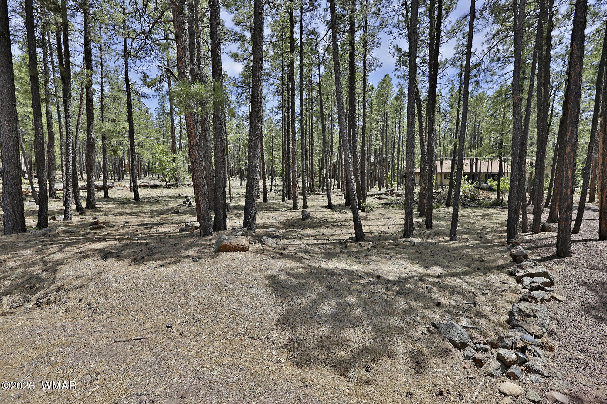 2682 Brahma Circle -, Pinetop, AZ 85935 — Photo 1 of 7