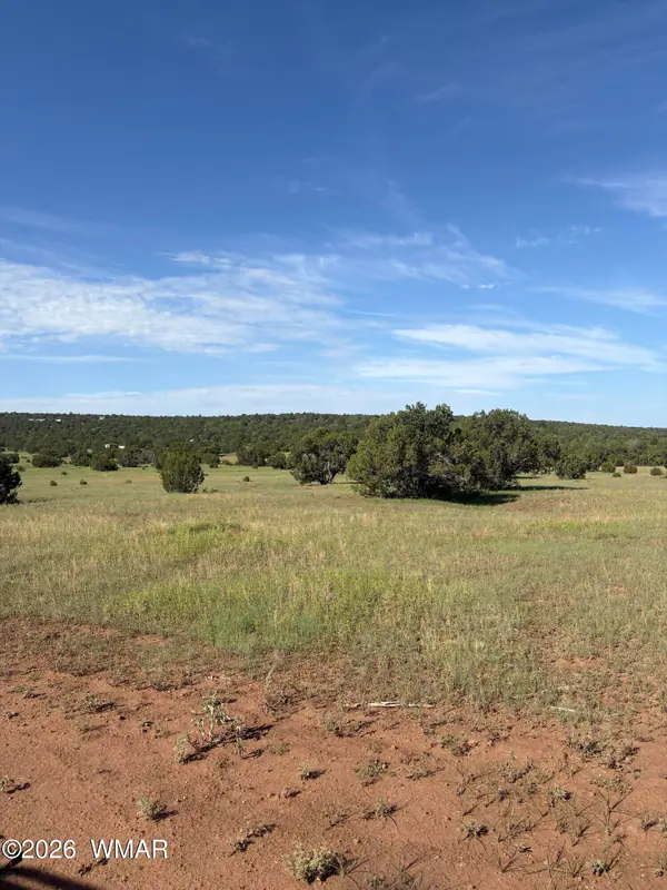 80 County Rd 8238, Concho, AZ 85924