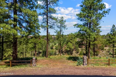 2294 Constellation Lane, Overgaard, AZ 85933