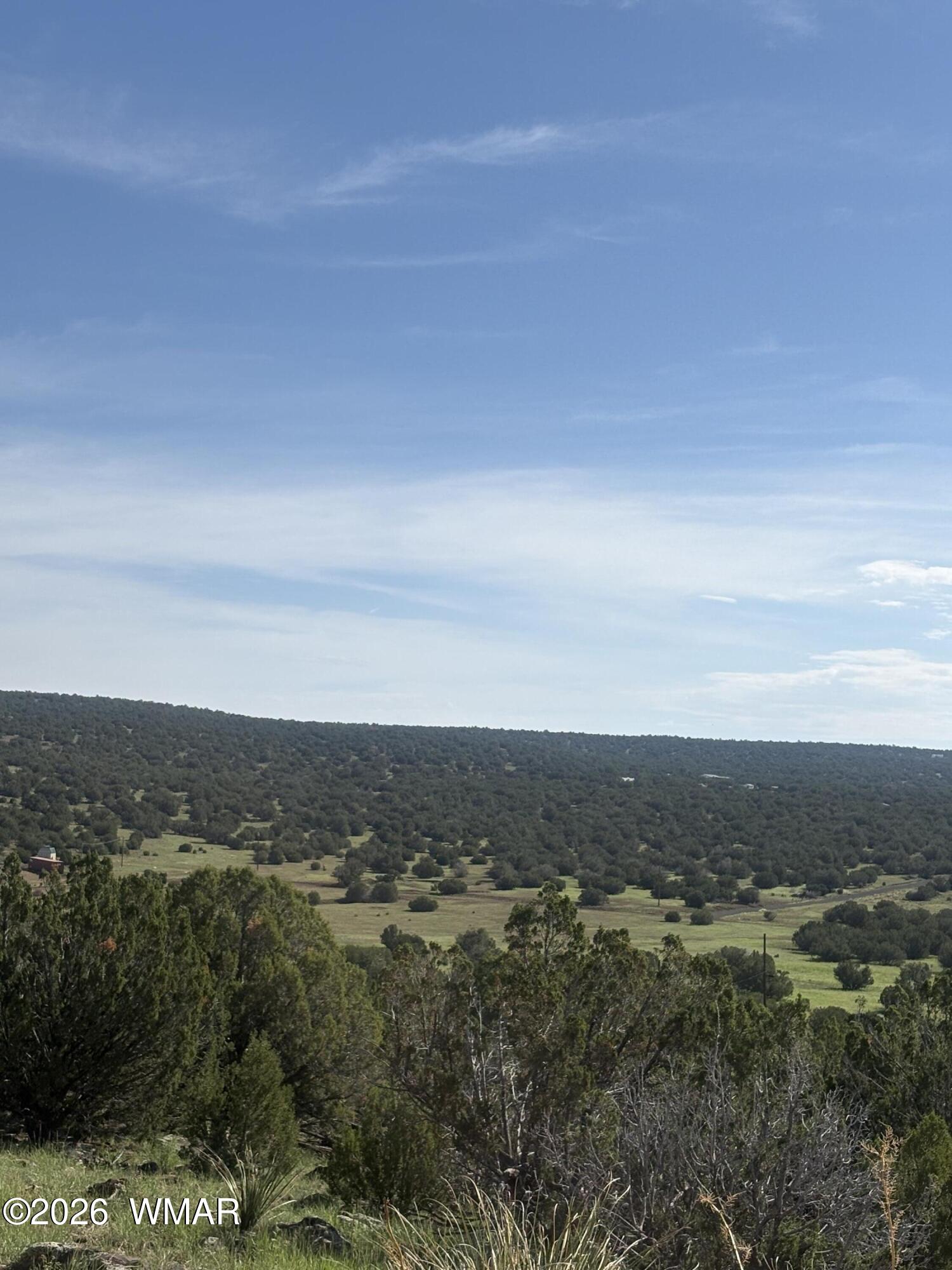 80 County Road, # 8238, Concho, AZ 85924 — Photo 1 of 6