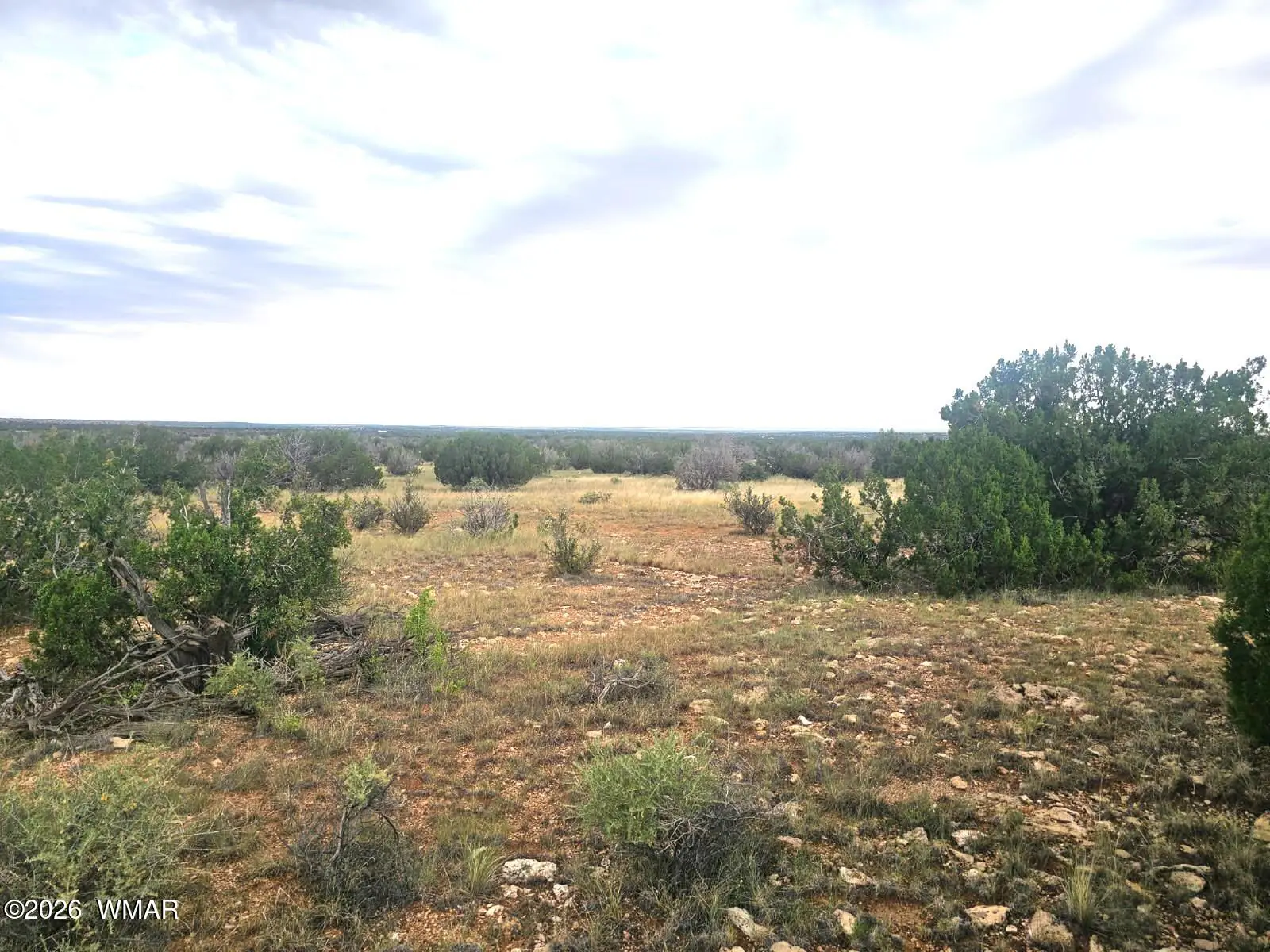 5075 Sidlyn Road, Heber, AZ 85928 — Photo 1 of 12