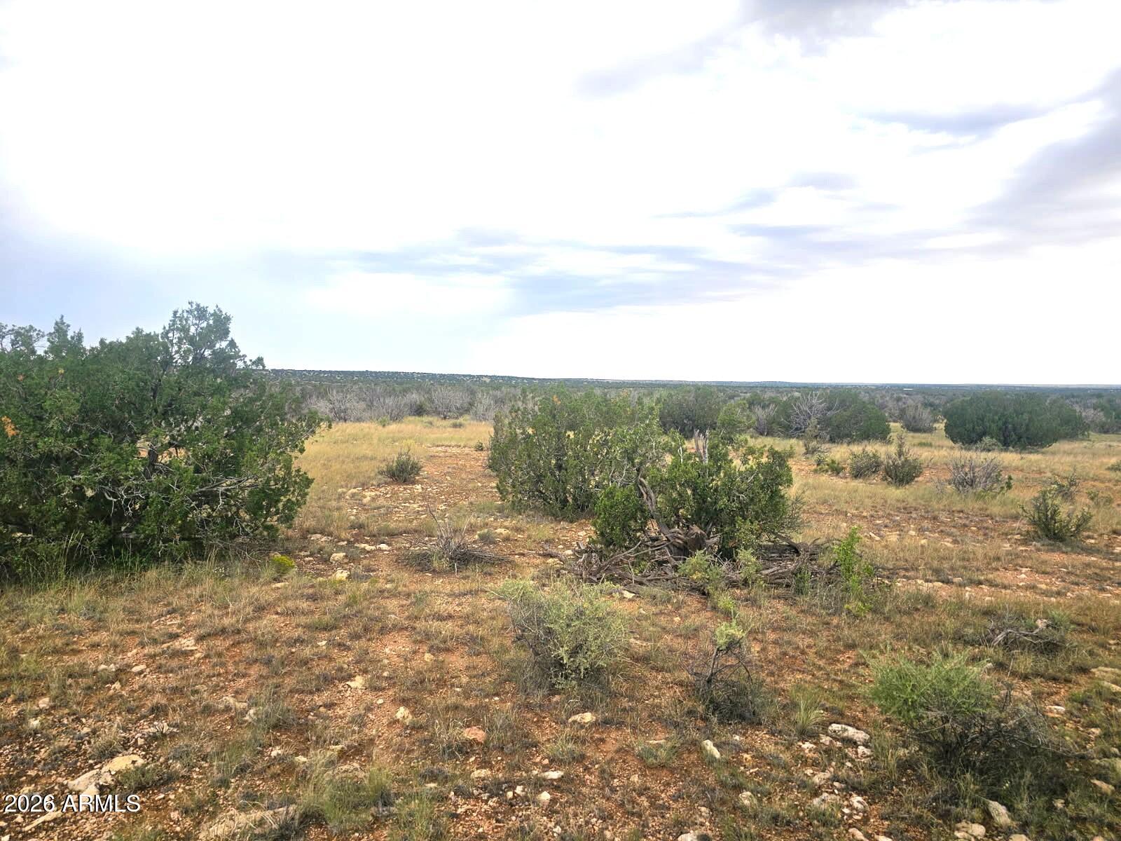 5075 Sidlyn Road, Heber, AZ 85928 — Photo 1 of 24