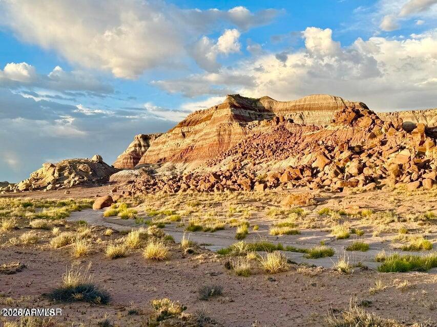 8983 Down Under Rd 38.82 Acres -, Holbrook, AZ 86025 — Photo 1 of 23