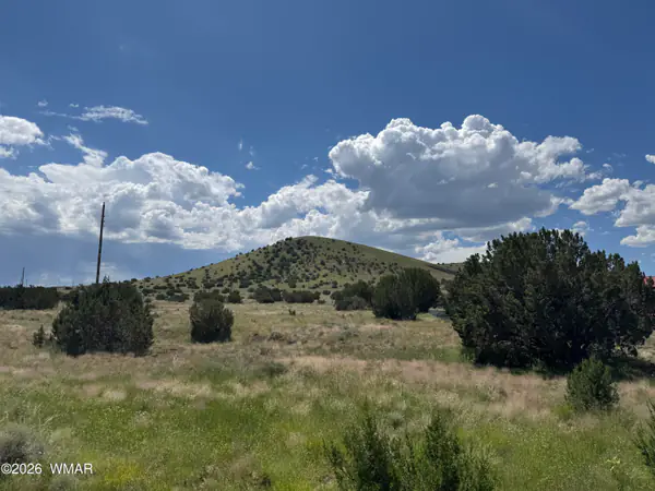 20 County Road 5203, 20, Concho, AZ 85924