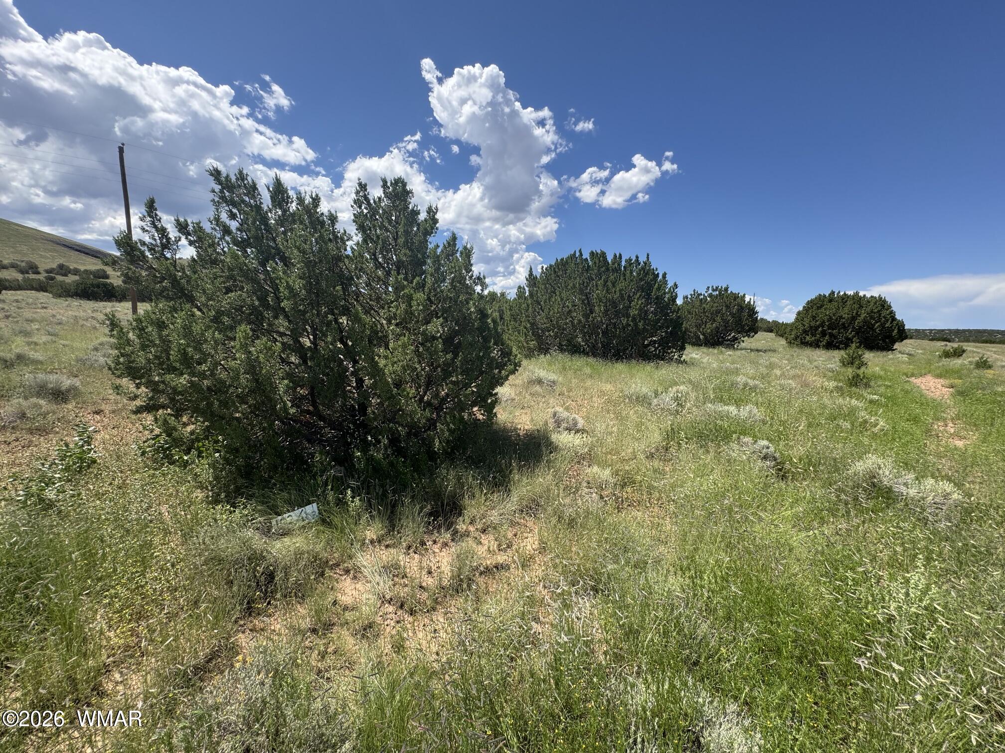 103 CR 5202, Concho, AZ 85924 — Photo 1 of 6