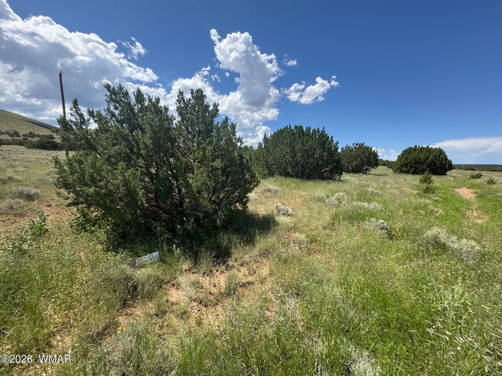 103 CR 5202, Concho, AZ 85924 — Photo 1 of 6