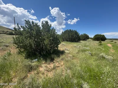 103 CR 5202, Concho, AZ 85924