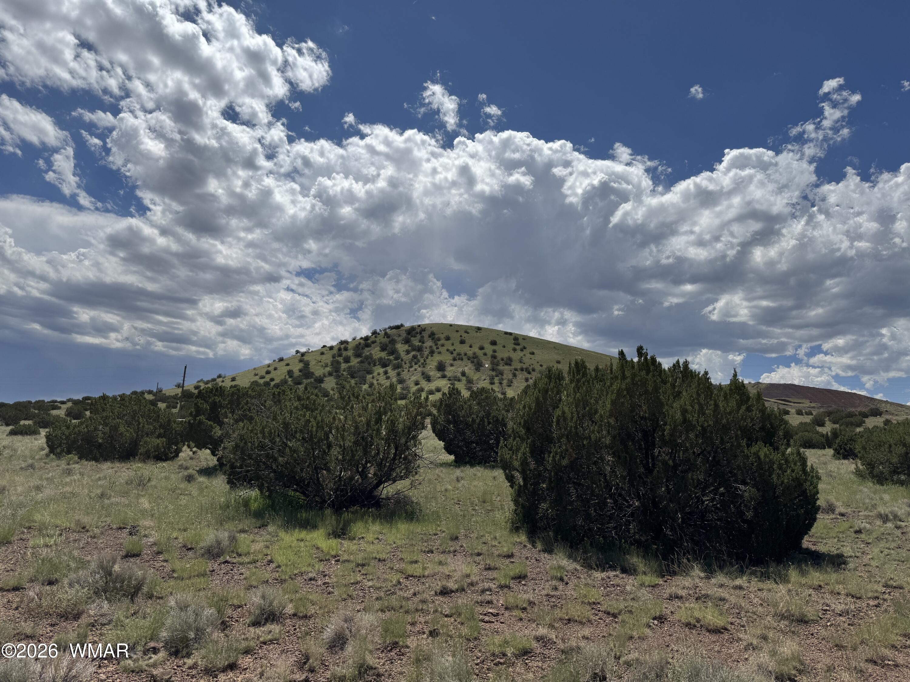 119 County Road 5106, Concho, AZ 85924 — Photo 1 of 5
