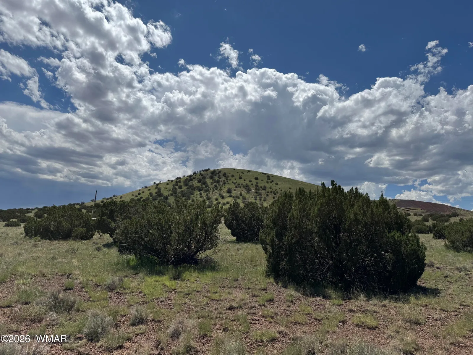 119 County Road 5106, Concho, AZ 85924 — Photo 1 of 5