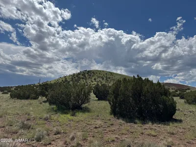 119 County Road 5106, Concho, AZ 85924