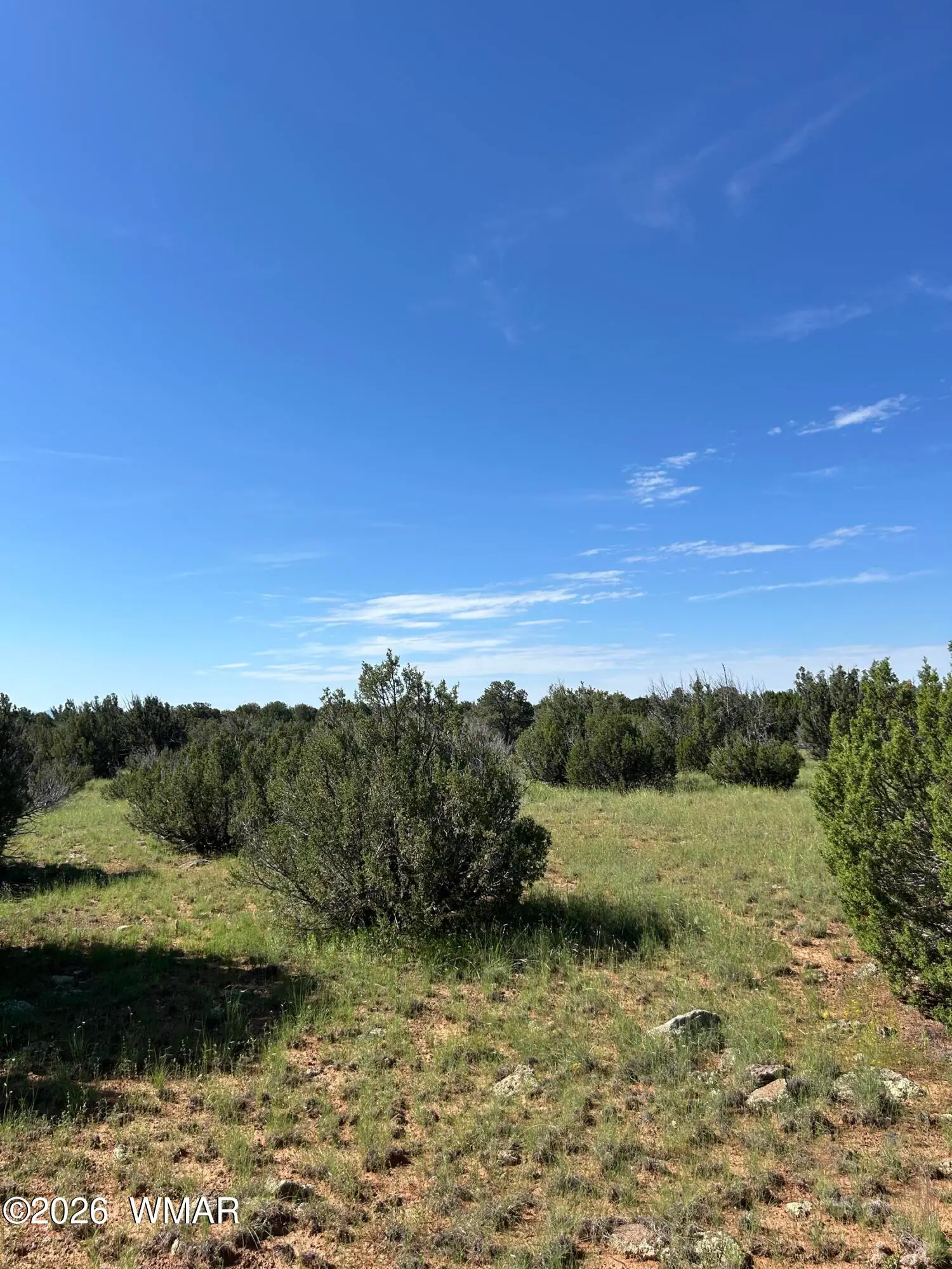 Lot 1933 Mills Ln, Concho, AZ 85924 — Photo 1 of 7