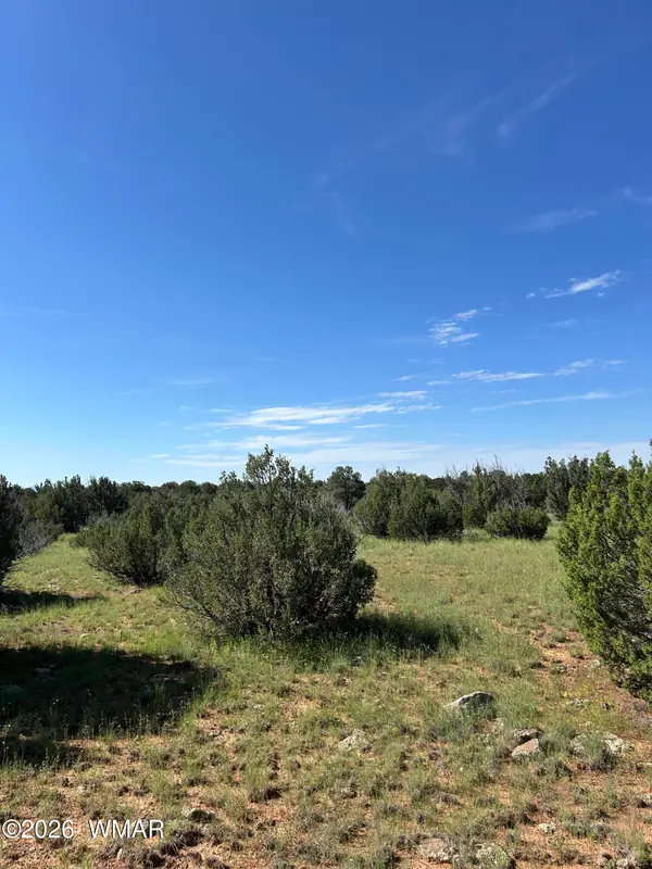 Lot 1933 Mills Ln, Concho, AZ 85924