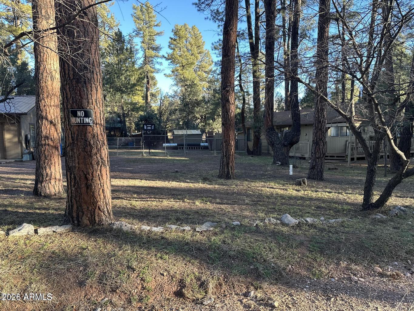 6384 W JAN Drive, Pine, AZ 85544 — Photo 1 of 21