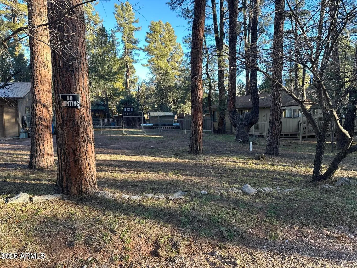 6384 W JAN Drive, Pine, AZ 85544 — Photo 1 of 21