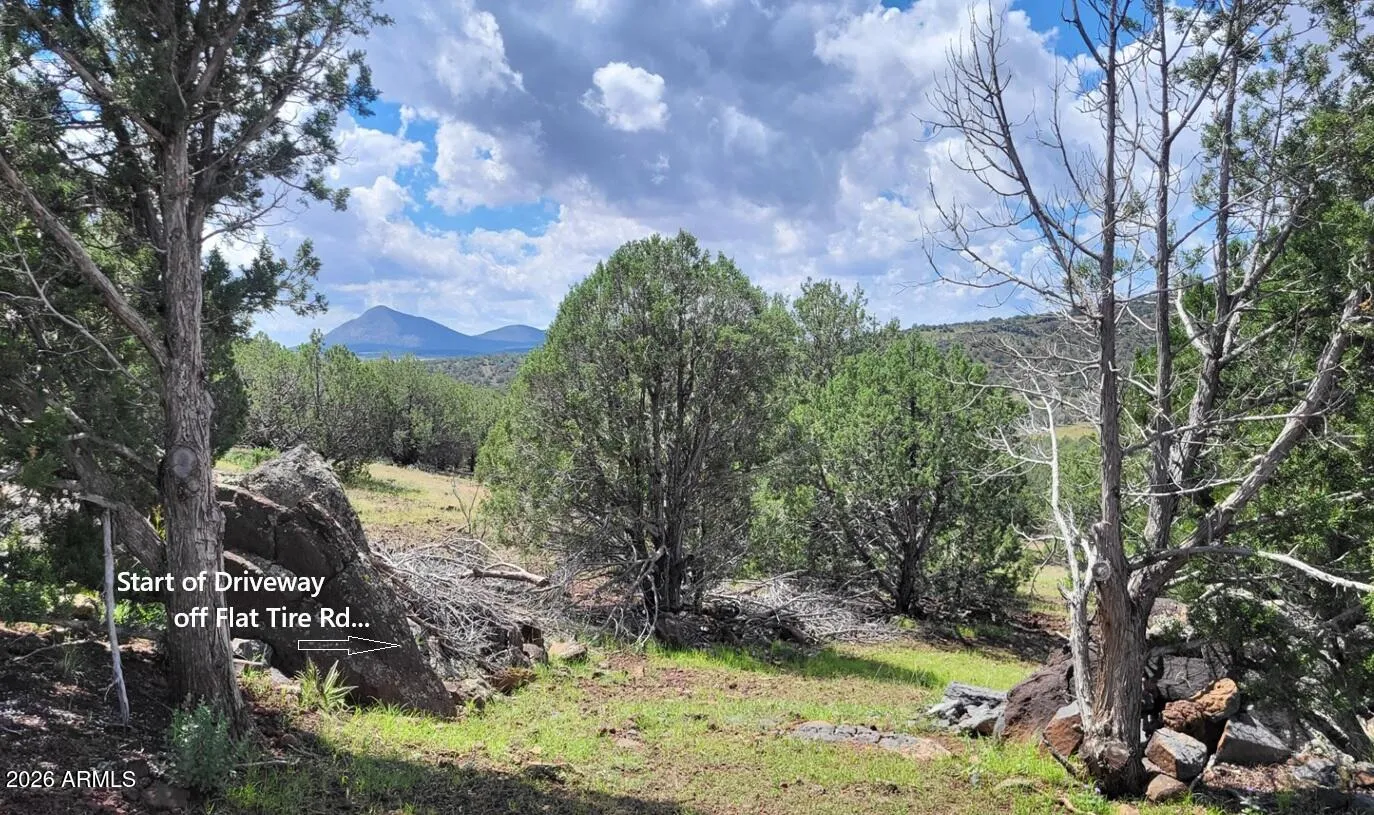 1017 S Flat Tire Road 1017, Williams, AZ 86046 — Photo 1 of 26
