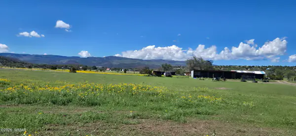 TBD E Fleetwood Avenue, Springerville, AZ 85938