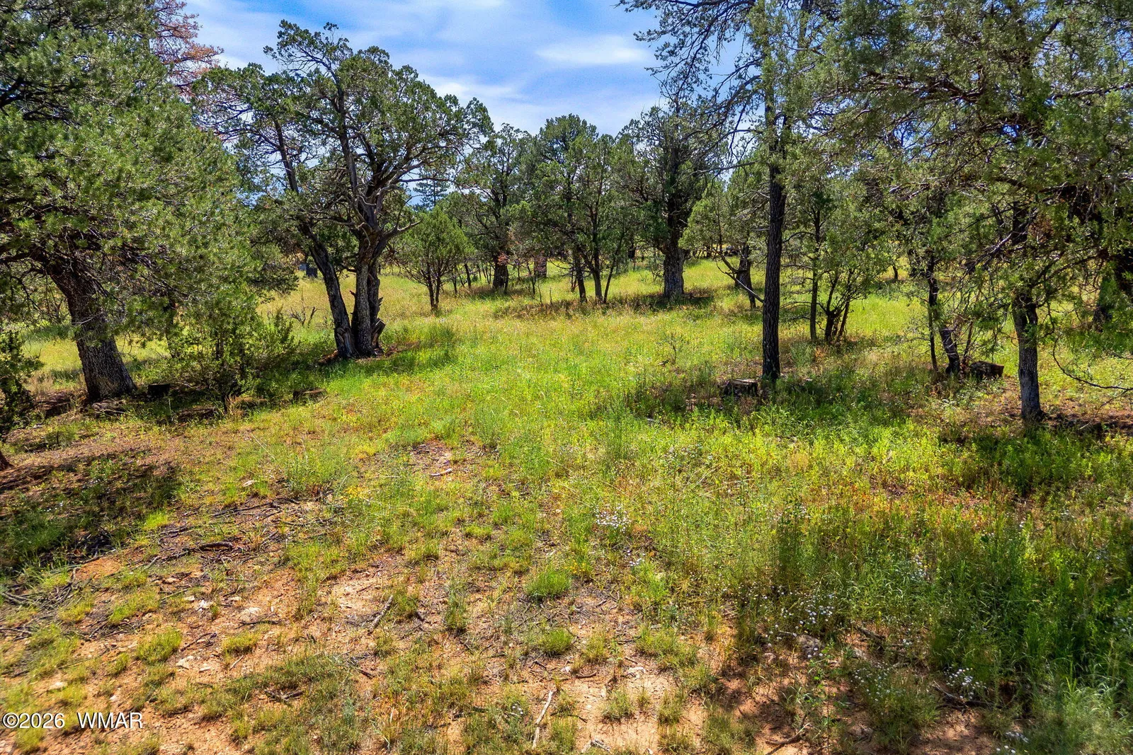 2864 Buck Circle, Overgaard, AZ 85933 — Photo 1 of 15