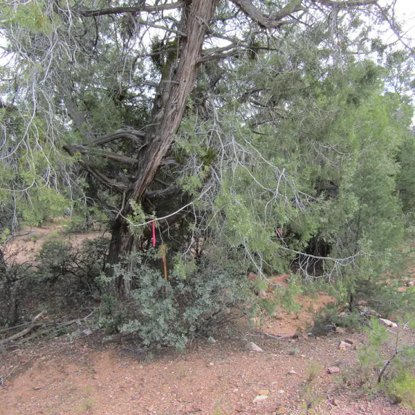 1209 N Heather Circle, Payson, AZ 85541