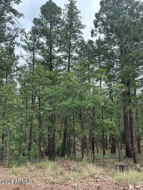15 N BUTTERMILK Lane 52, Alpine, AZ 85920 — Photo 1 of 6