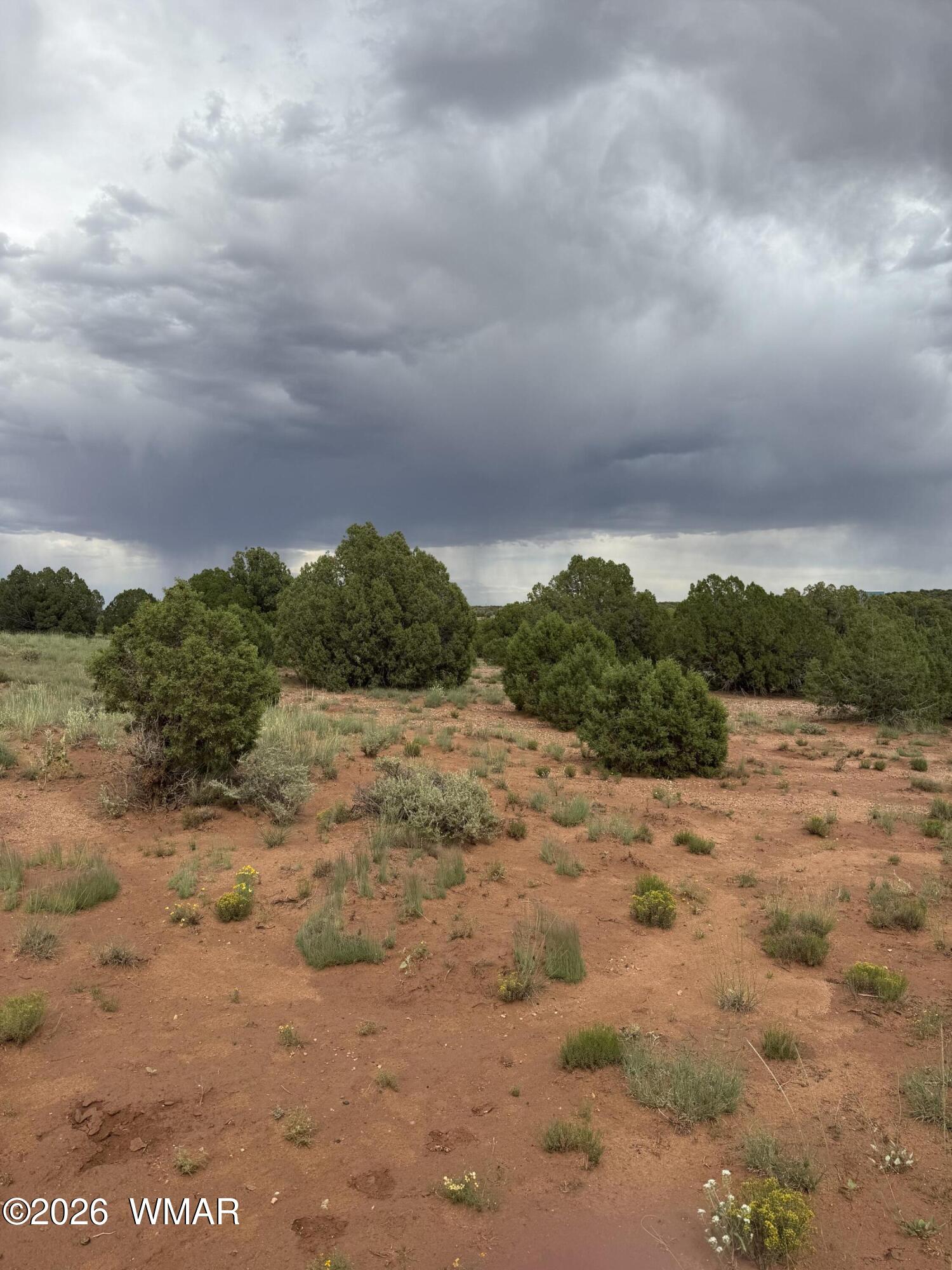 4205 Pinon Lane, Snowflake, AZ 85937 — Photo 1 of 7