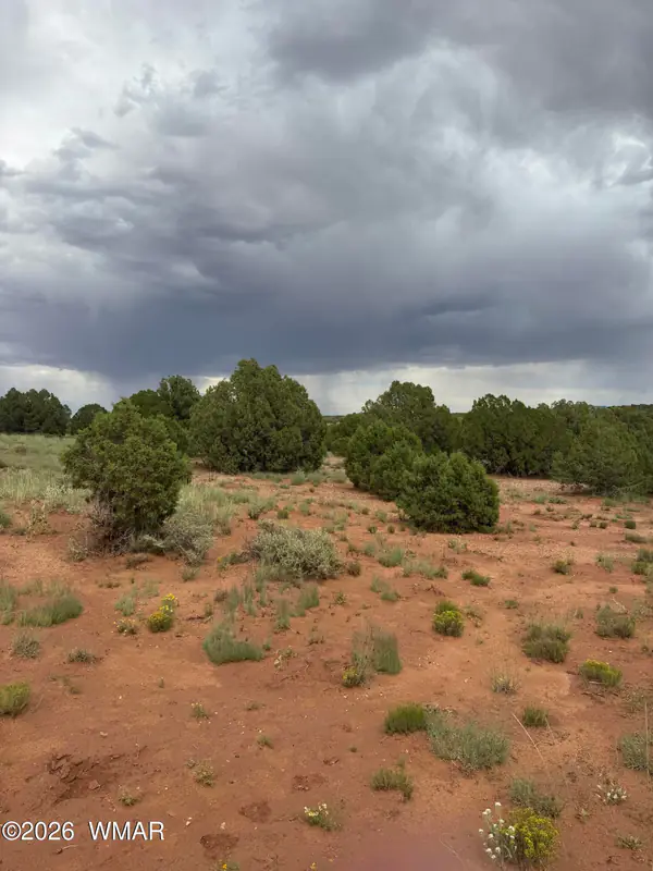 4205 Pinon Lane, Snowflake, AZ 85937