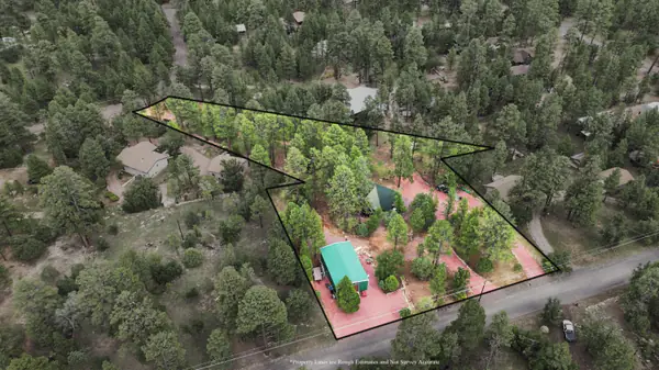 3 bed house at 2421 Velvet Antler Trail, Happy Jack