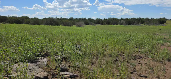 Land at TBD CR 8026, Concho