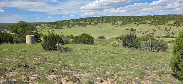 TBD CR 8624, Concho, AZ 85924