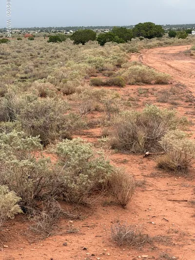3264 S Coolidge Road, Williams, AZ 86046