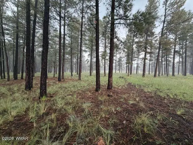 38650 State Route 373, Greer, AZ 85927 — Photo 1 of 1