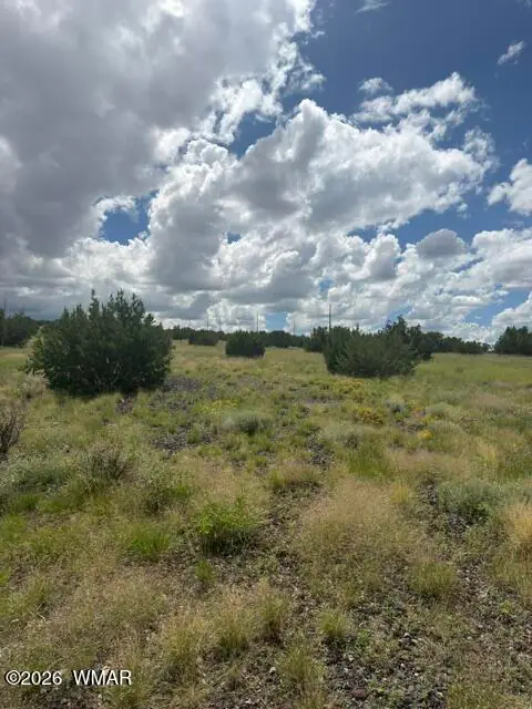 TBD CR 5169, Concho, AZ 85924 — Photo 1 of 9
