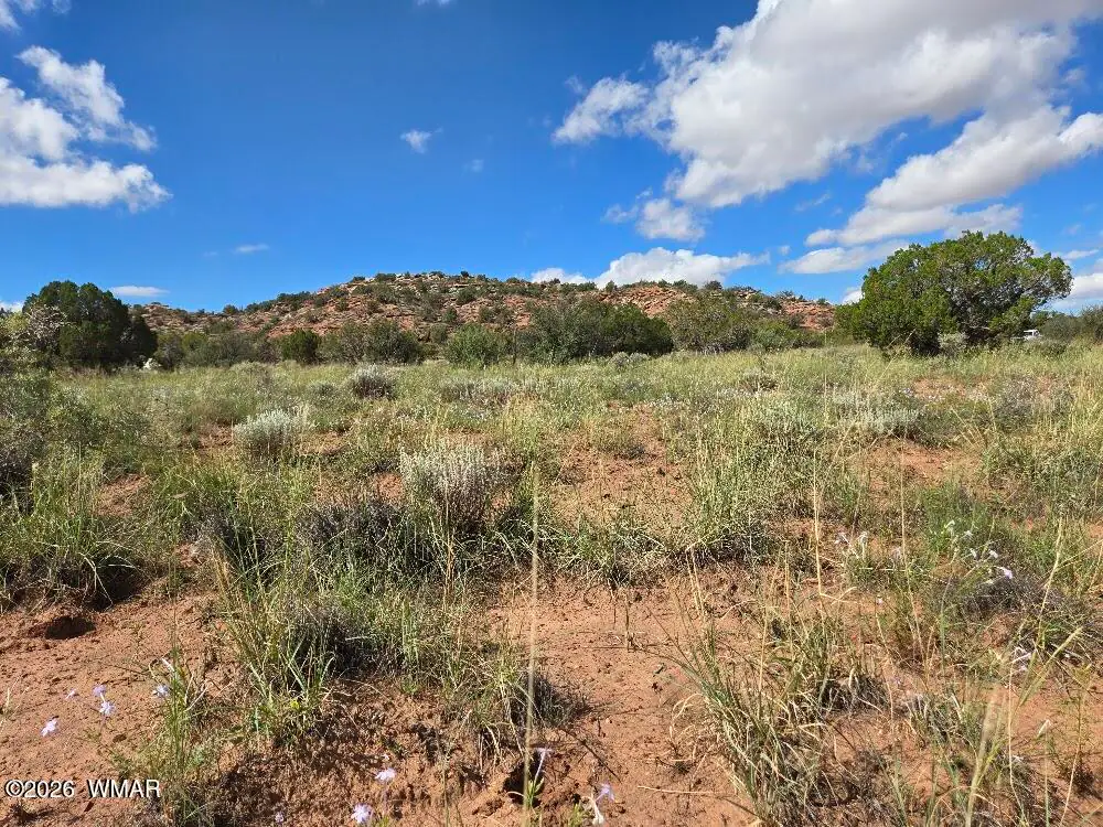 3861 Coronado Road, Snowflake, AZ 85937 — Photo 1 of 30