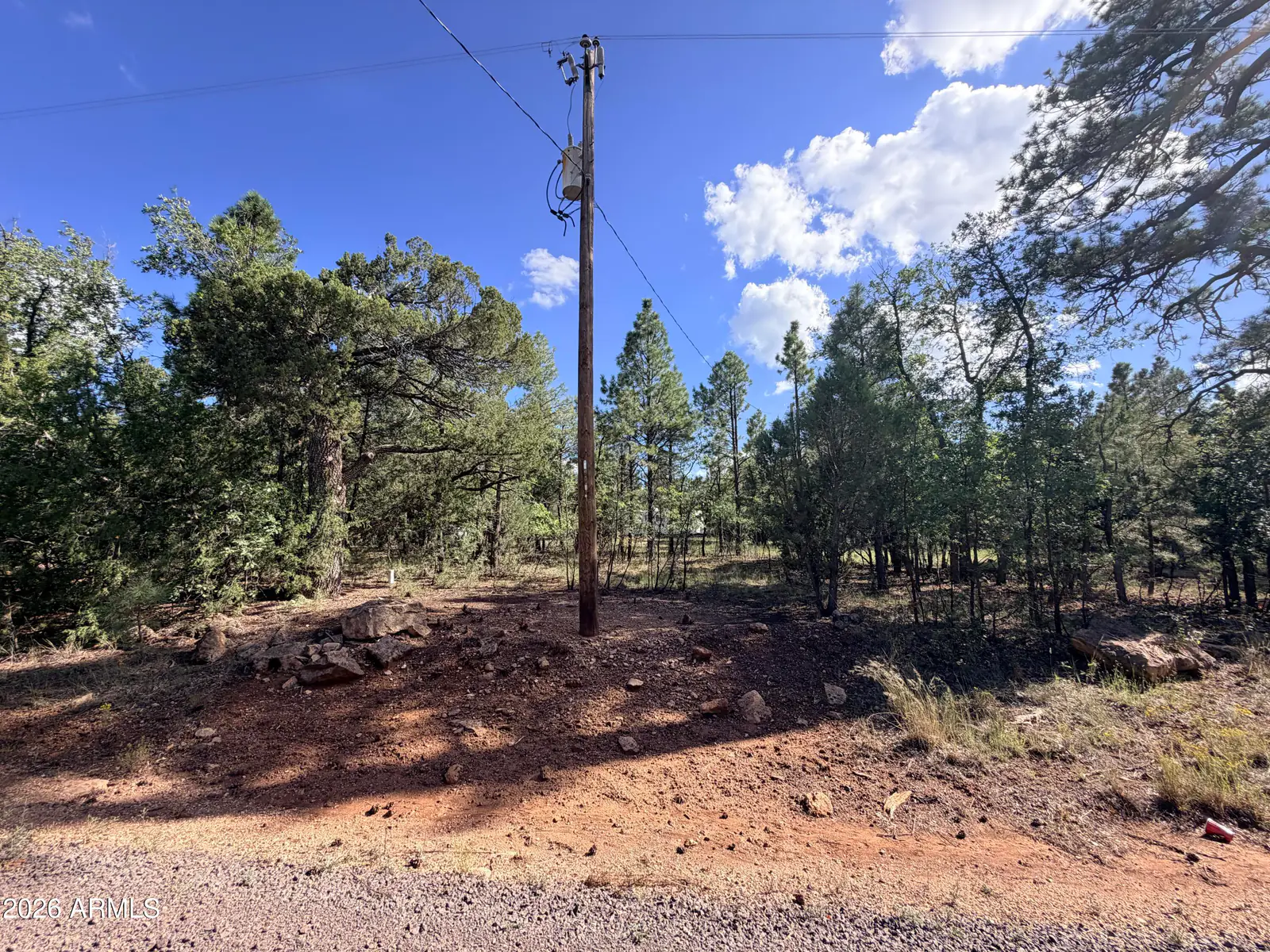 5808 PINE NEEDLE Drive 225, Happy Jack, AZ 86024 — Photo 1 of 24