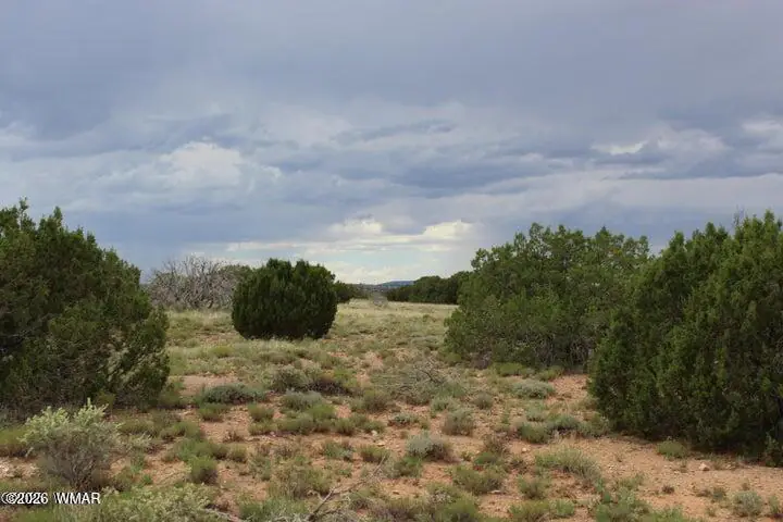 5705 Lindsey Lane 7, Heber, AZ 85928 — Photo 1 of 4