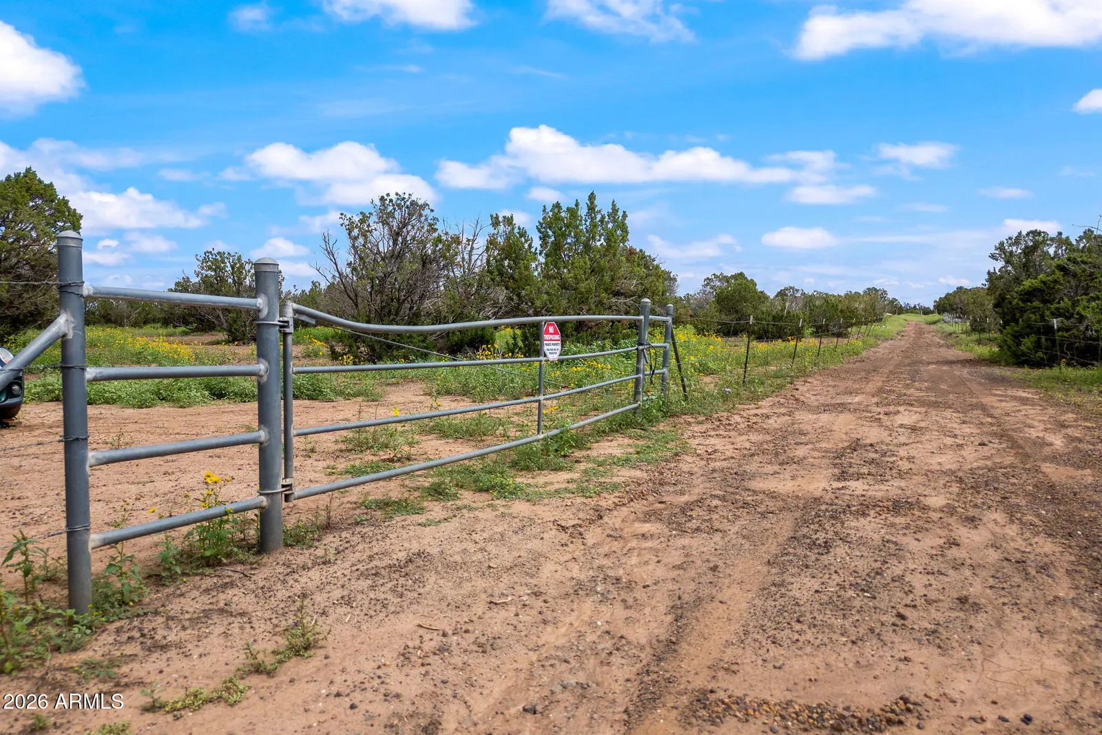 9132 Grant Road 011D, Show Low, AZ 85901 — Photo 1 of 23
