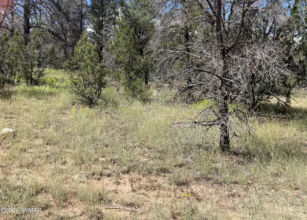 0000 Jeep Trail, Overgaard, AZ 85933